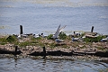 Holiday Dorset_9368_edited-1